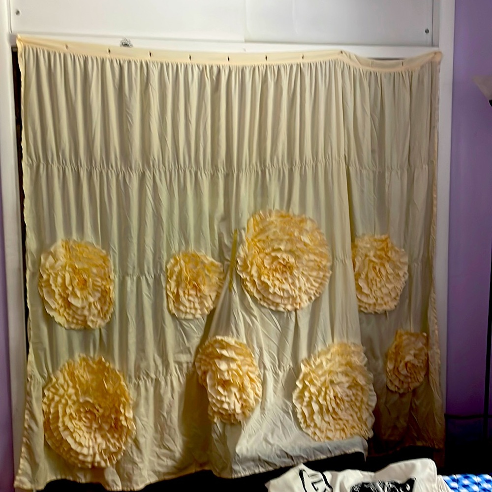 Elegant and wonderful shower curtain.